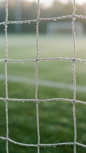 Morning Dew Net
