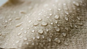 Morning Dew on Paper