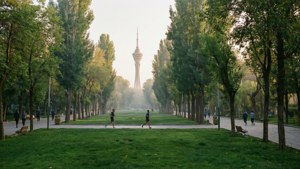 Morning in Laleh Park