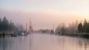 Morning Mist