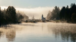 Morning Mist