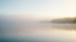 Morning Mist