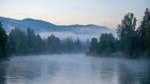 Morning Mist on the Fraser
