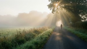 Morning Mist Ride