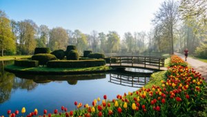 Morning Serenity in Meppel Park