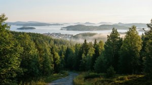 Morning View from the Hill