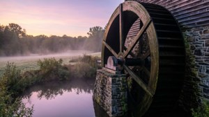 Morningstar Mill Dawn