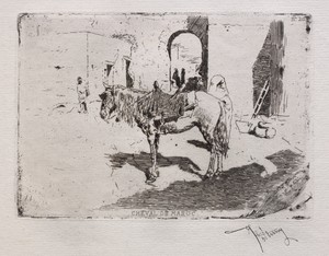 Moroccan Horse