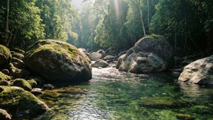 Mossman Gorge River