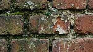 Mossy Brick Wall