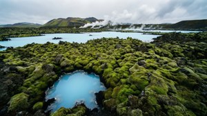 Mossy Lava Contrast