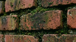 Mossy Red Bricks