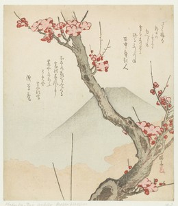 Mount Fuji and a Blossoming Plum