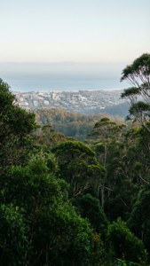 Mount Keira Vista