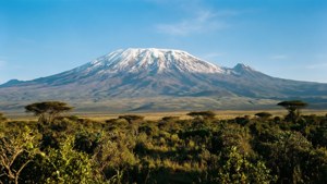Mount Kenya Majesty