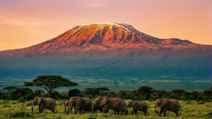 Mount Kenya Sunrise Serenity