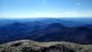 Mount Mitchell Vista