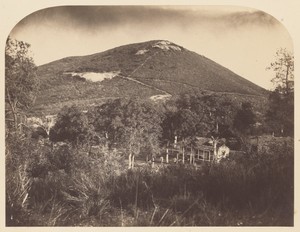 Mount Ophir Mine