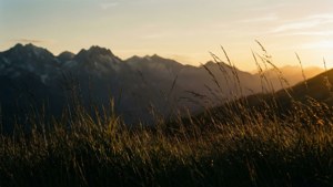 Mountain and Grass Silhouettes