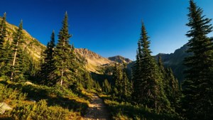 Mountain August Escape