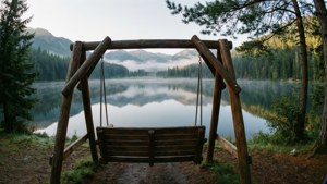 Mountain Lake Swing