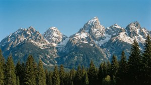 Mountain Majesty