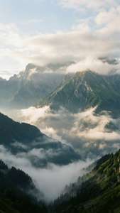 Mountain Mist Embrace