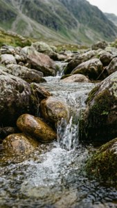 Mountain Stream Flow