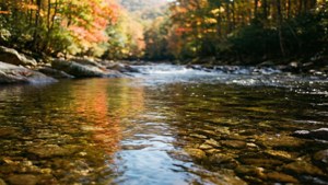 Mountain Stream Reflection