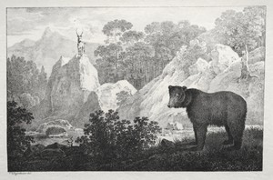 Mountainous Landscape with Bear in the Foreground