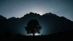 Mountains and Tree Shadow