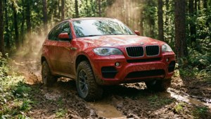 Muddy Forest Trail