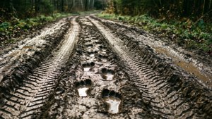Muddy Trail Tire Ruts