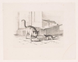 Muizenval en twee katten