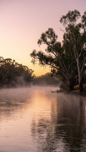 Murray River Sunrise