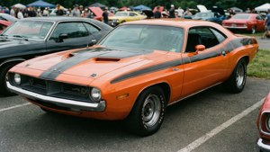 Muscle Meet Star