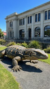 Museum and Tuatara