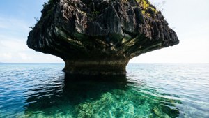 Mushroom Rock Island