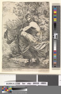 Musidora
