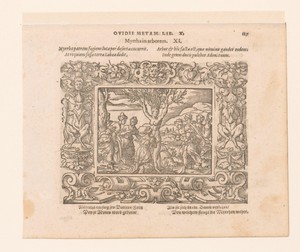 Myrrha in een boom veranderd