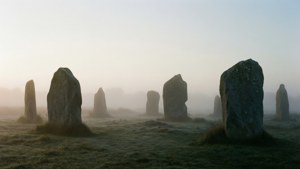 Mystery in Mist