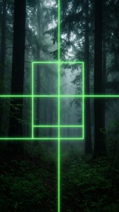 Mystic Forest Grid