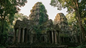 Mystical Jungle Temple