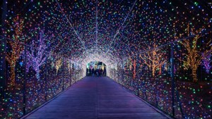 Nabana No Sato Lights