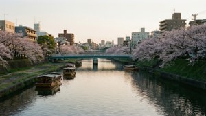 Naka River Evening Glow