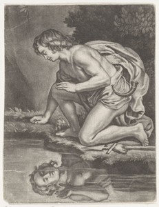 Narcissus
