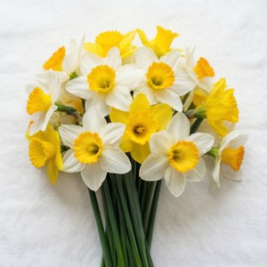 Narcissus Flat Lay