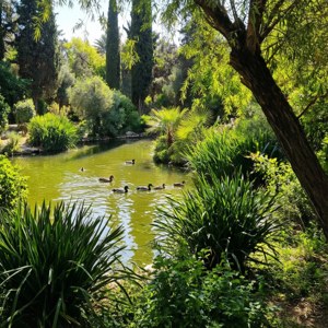 National Garden Serenity
