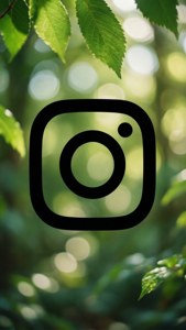 Nature Bokeh