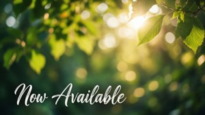 Nature Bokeh Now Available